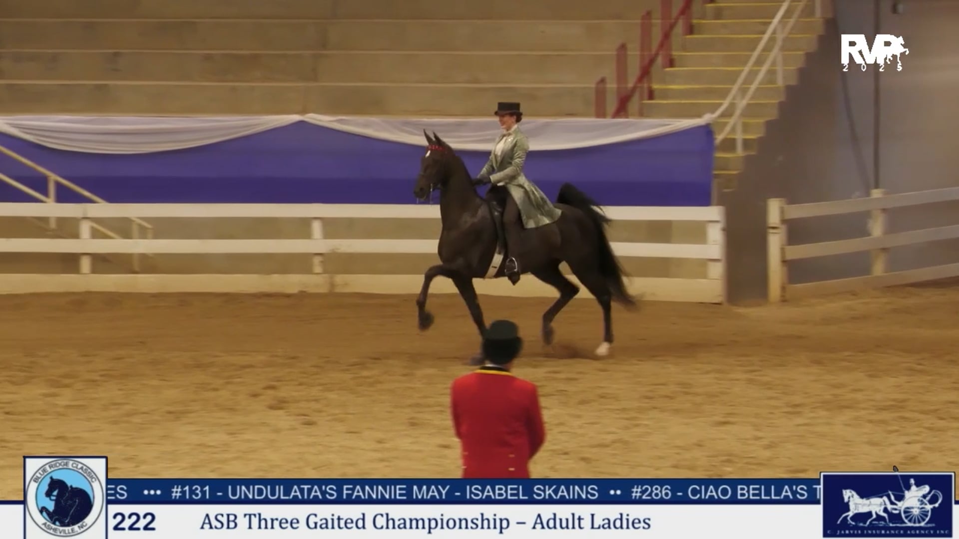 BRC25 - Class 222 - ASB Three Gaited Championship Adult Ladies