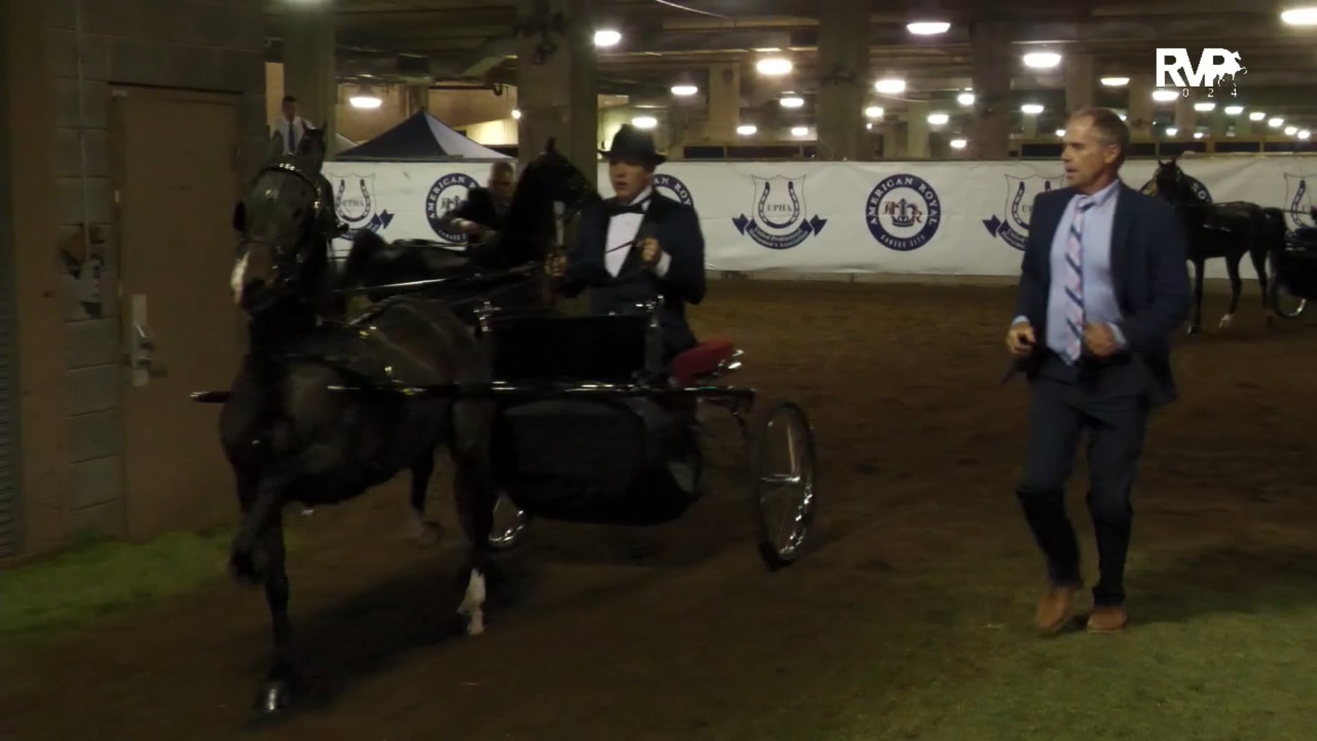 AR24 - Class 124 - UPHA Hackney Pony Park Pleasure Driving Classic Grand Championship