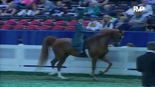 2000 WCHS Class 25.1 ASB Three Gaited...