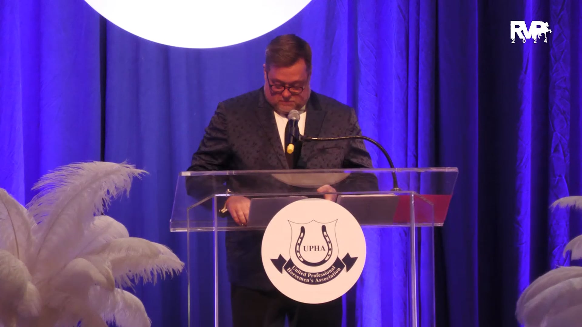 2024 UPHA Overall Morgan Park Horse of the Year - Get Out CH