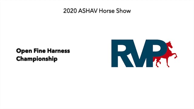 ASHAV 2020 - Class 112 Open Fine Harn...