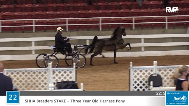2020 ASF - Class 22 SHHA Breeders Sta...