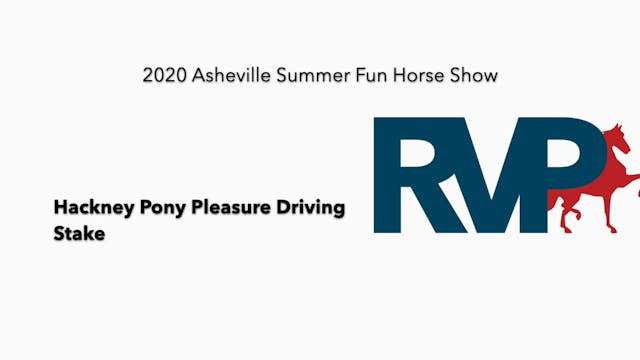 2020 ASF - Class 68 Hackney Pony Plea...