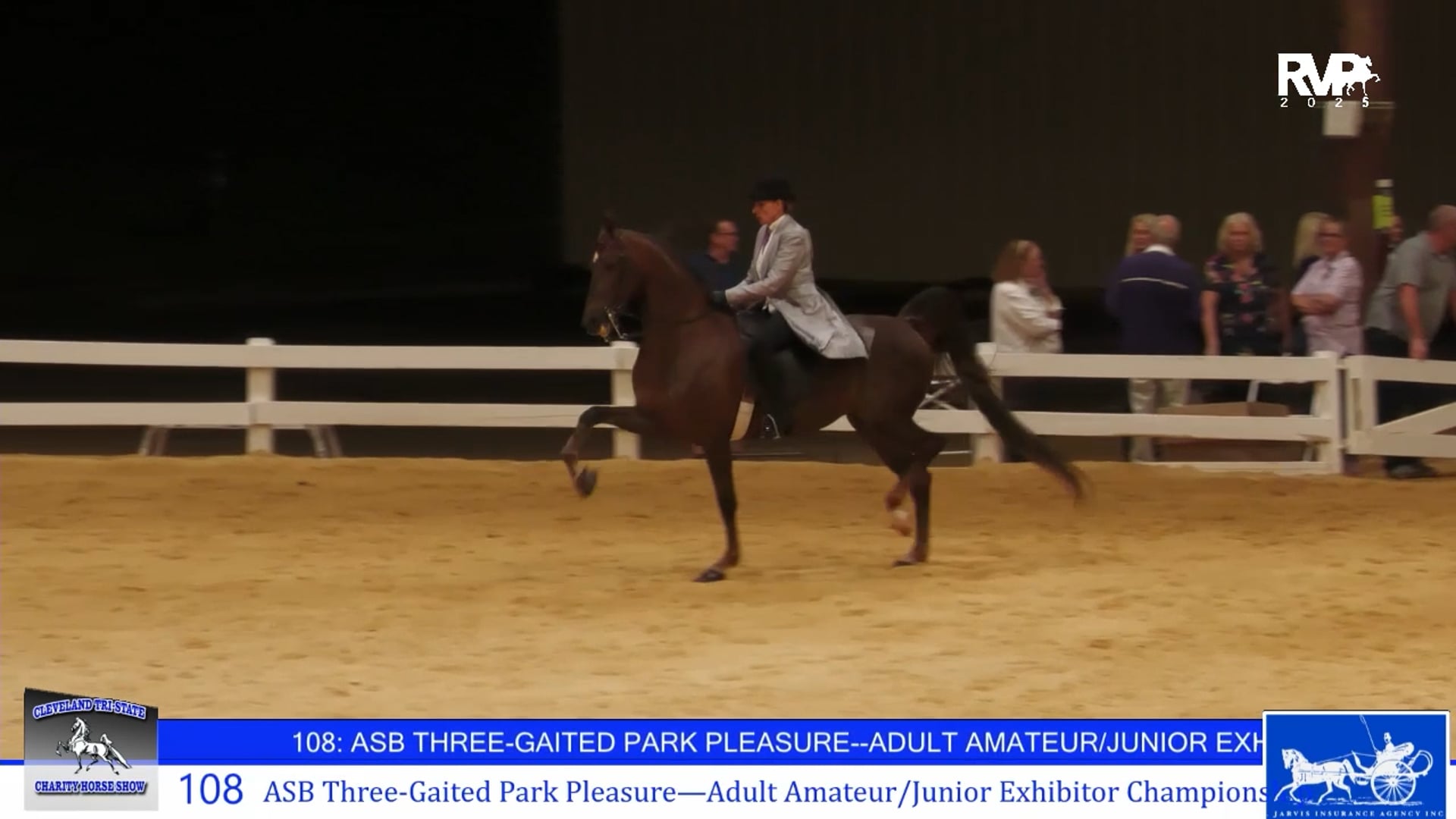 CTS25 - Class 108 - ASB Three Gaited Park Pleasure Adult Amateur- Jr Exhibitor Championship