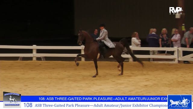 CTS25 - Class 108 - ASB Three Gaited ...