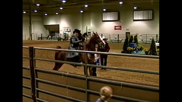 2001 Nebraska Charity - Nebraska Sadd...