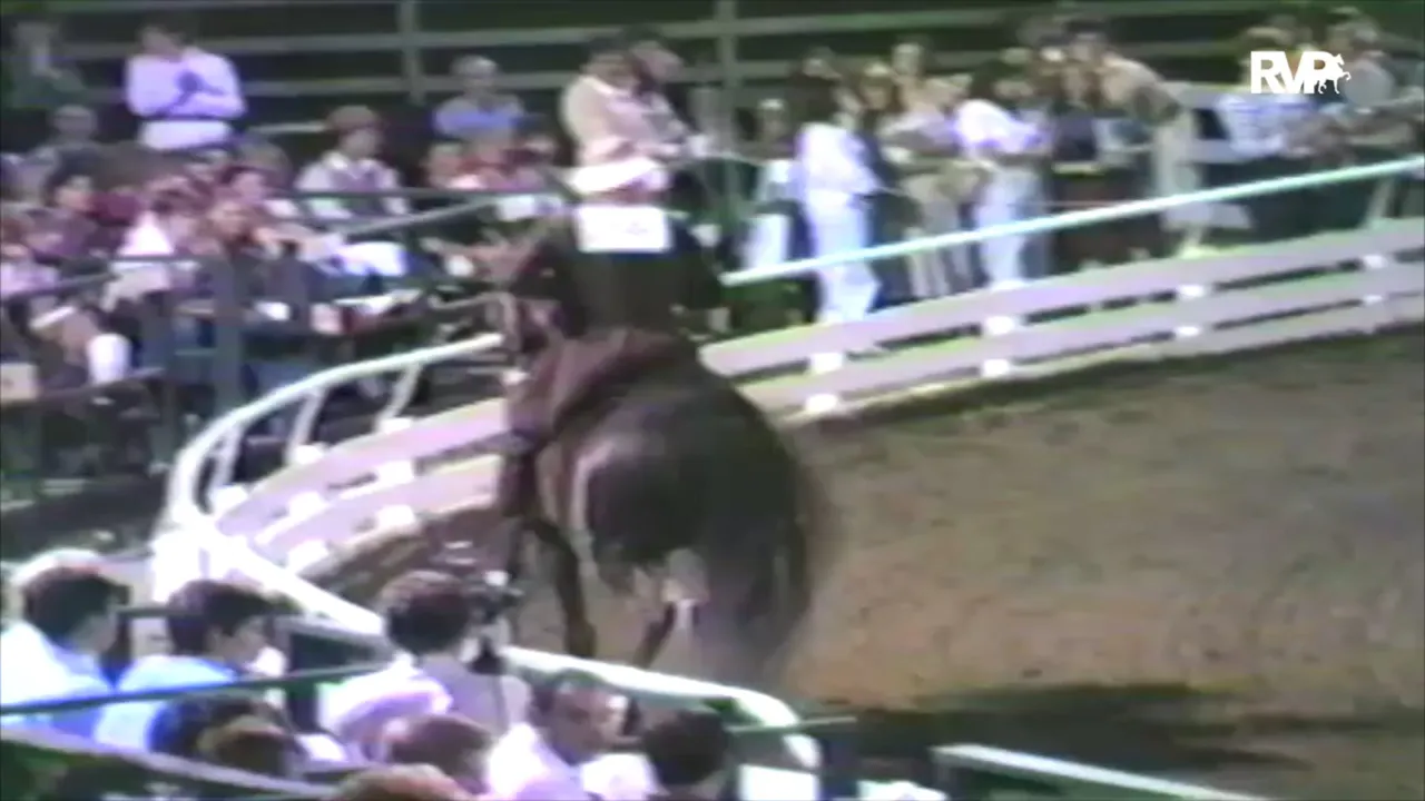 1983 Rock Creek Horse Show Imperator Qualifier Richfield Video Archive