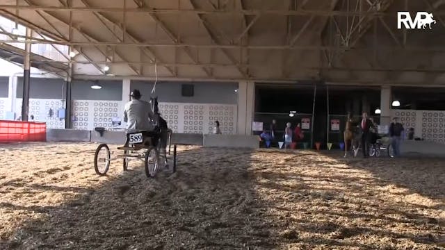 2013 World's Championship Horse Show ...