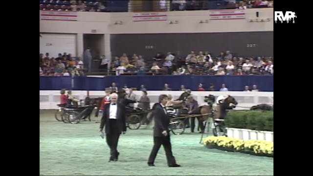 1998 WCHS - Class 141.1 Amateur Hackn...