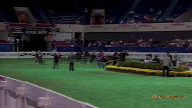 2001 WCHS - Class 41 - Amateur Roadst...