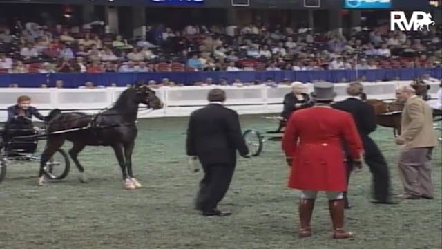 2007 WCHS Class 107 Amateur Ladies Ha...