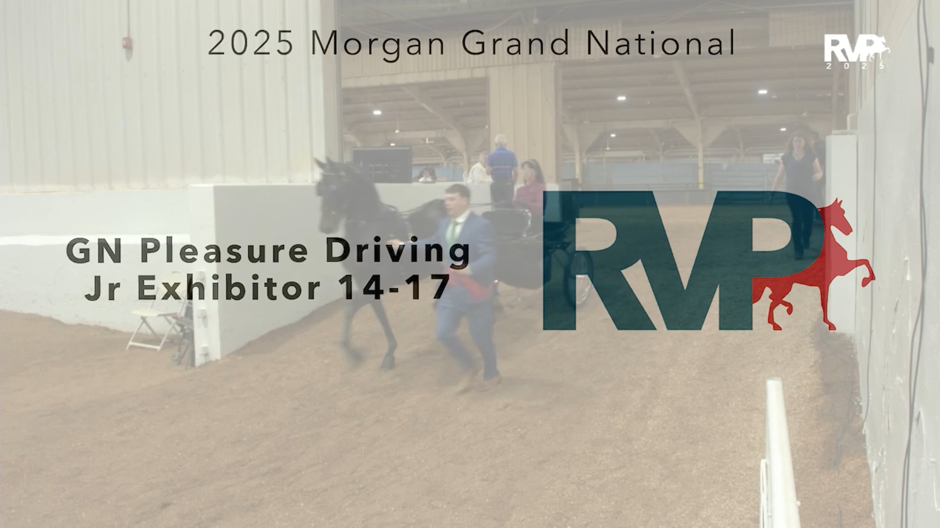 MGN25 - Class 369 - GN Pleasure Driving Jr Exhibitor 14-17