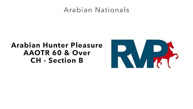 AN24 - Class 2937B - Arabian Hunter P...