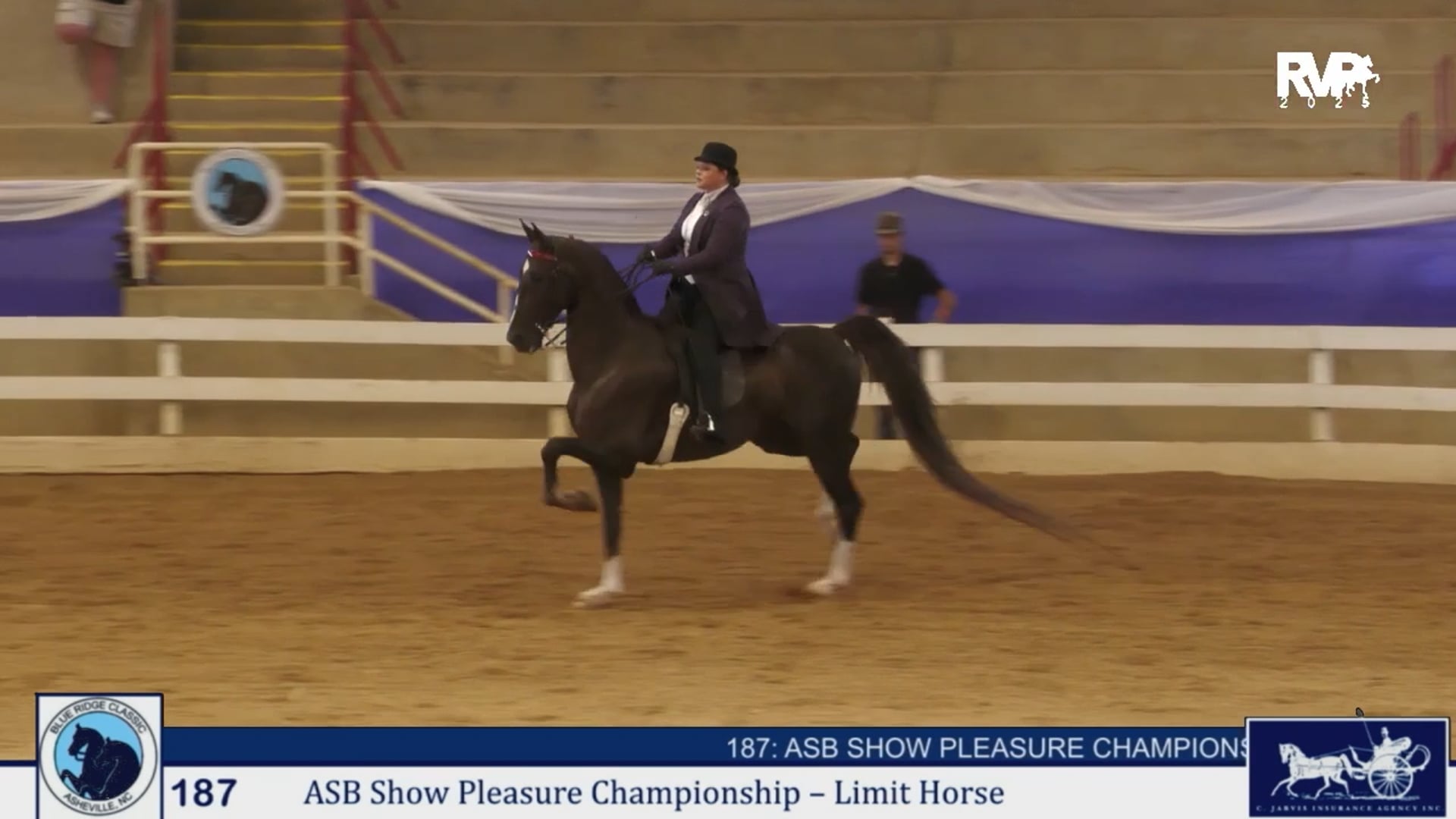 BRC25 - Class 187 - ASB Show Pleasure Championship Limit Horse