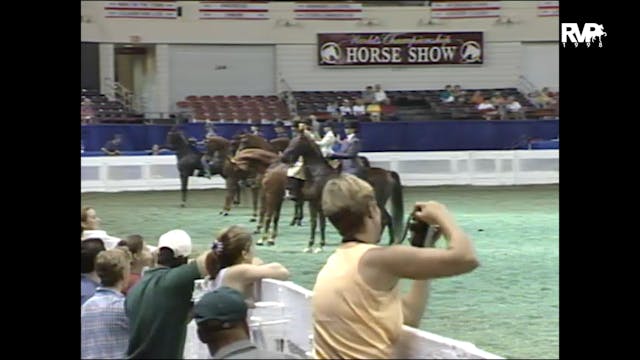 1998 WCHS - Class 81 ASB Three Gaited...