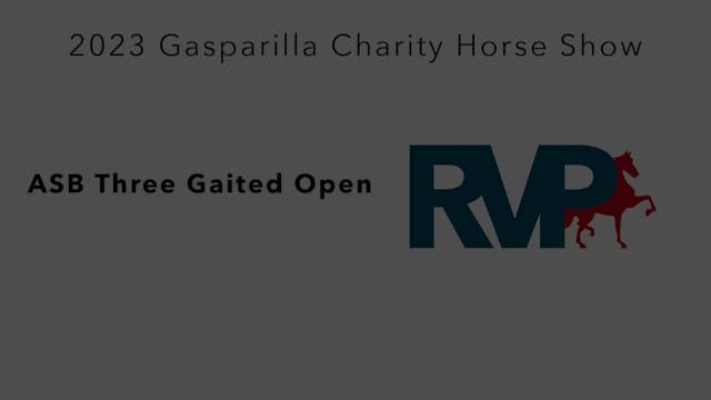GASP23 - Class 14 - ASB Three Gaited ...