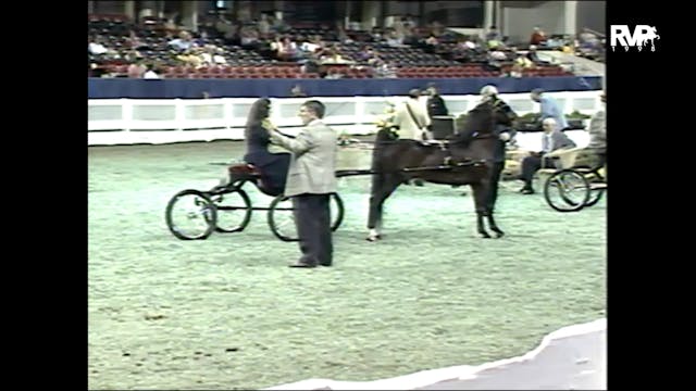 1998 WCHS - Class 133 Harness Pony St...