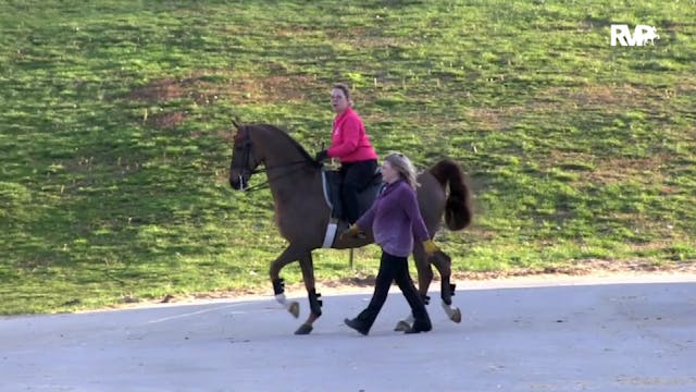 2019 Gasparilla Charity Horse Show - ...
