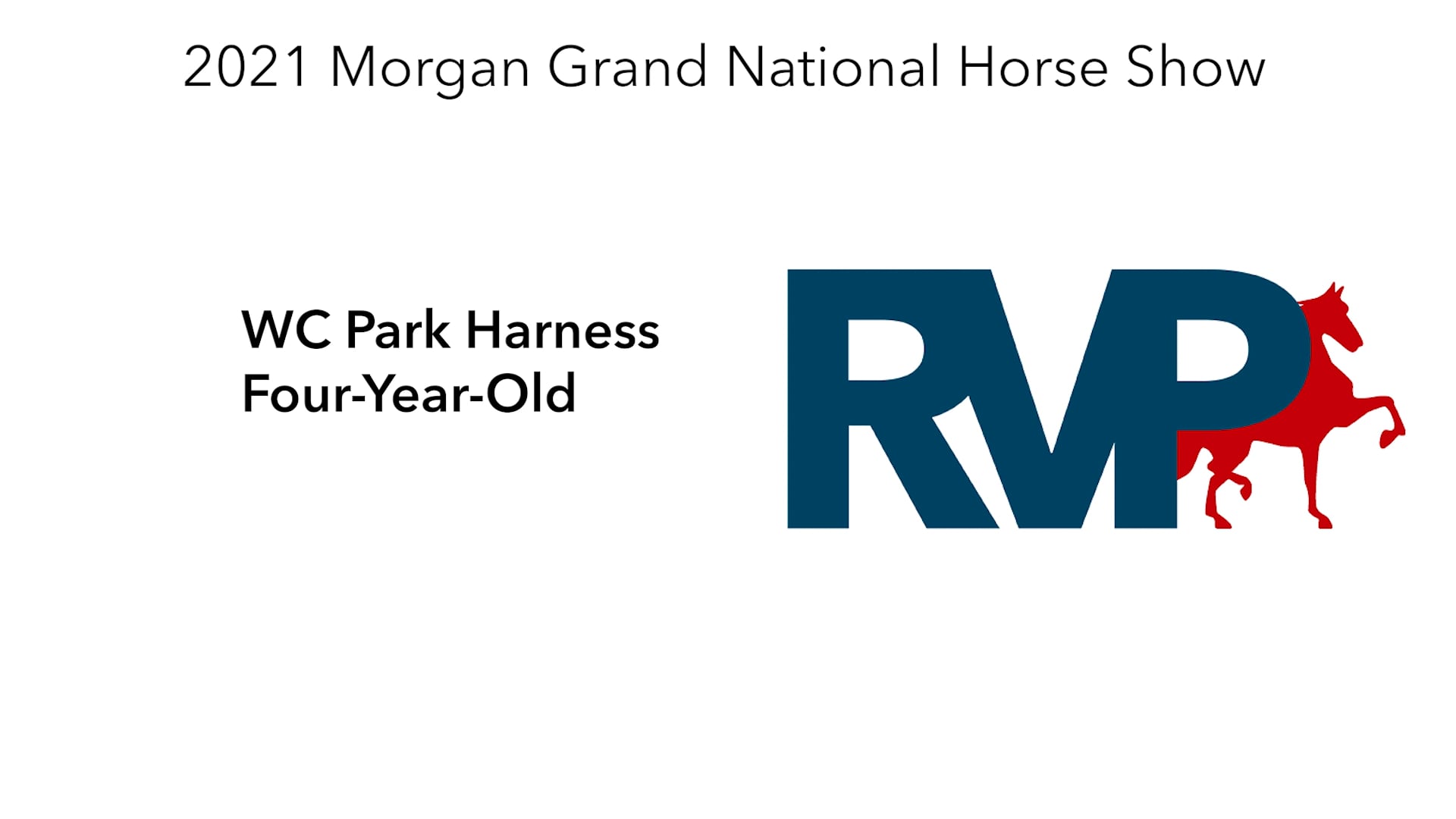 MGN21 - Class 177 - WC Park Harness Four-Year-Old
