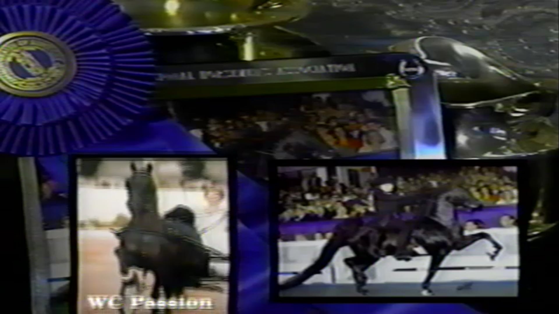 1999 Harlem Globetrotter Stallion promo