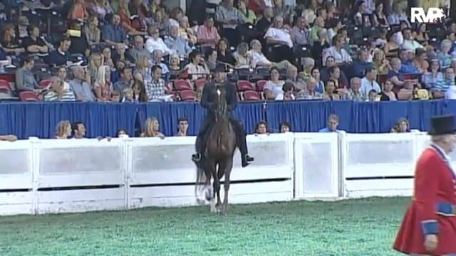 2010 World's Championship Horse Show ...
