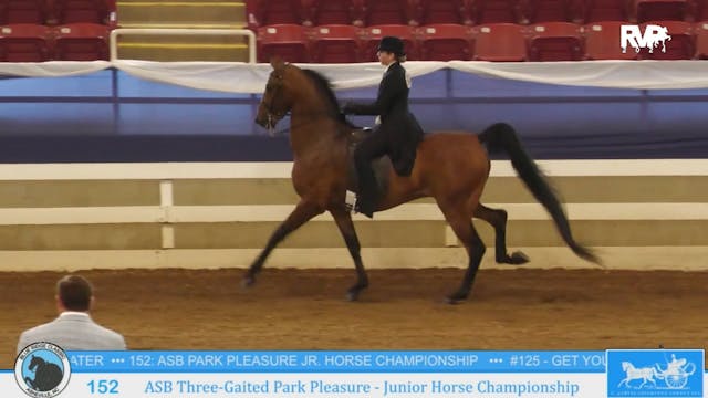 BR24 - Class 152 - ASB Three-Gaited P...