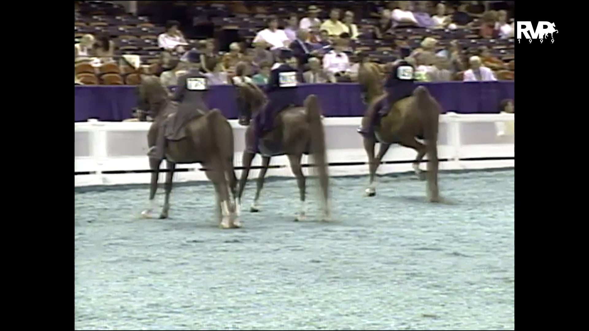 1999 WCHS - Class 2 Kentucky Equitation Rider 13 & Under