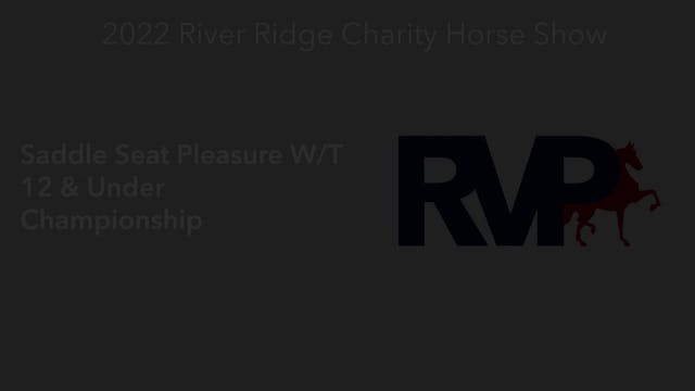 RR22 - Class 114 -  Saddle Seat Pleas...