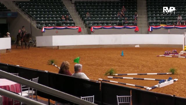 AN25 - Class 1894 - HA-AA Western Tra...