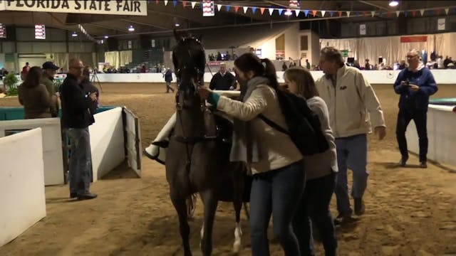 GASP17 - Heartland Sugar Plum