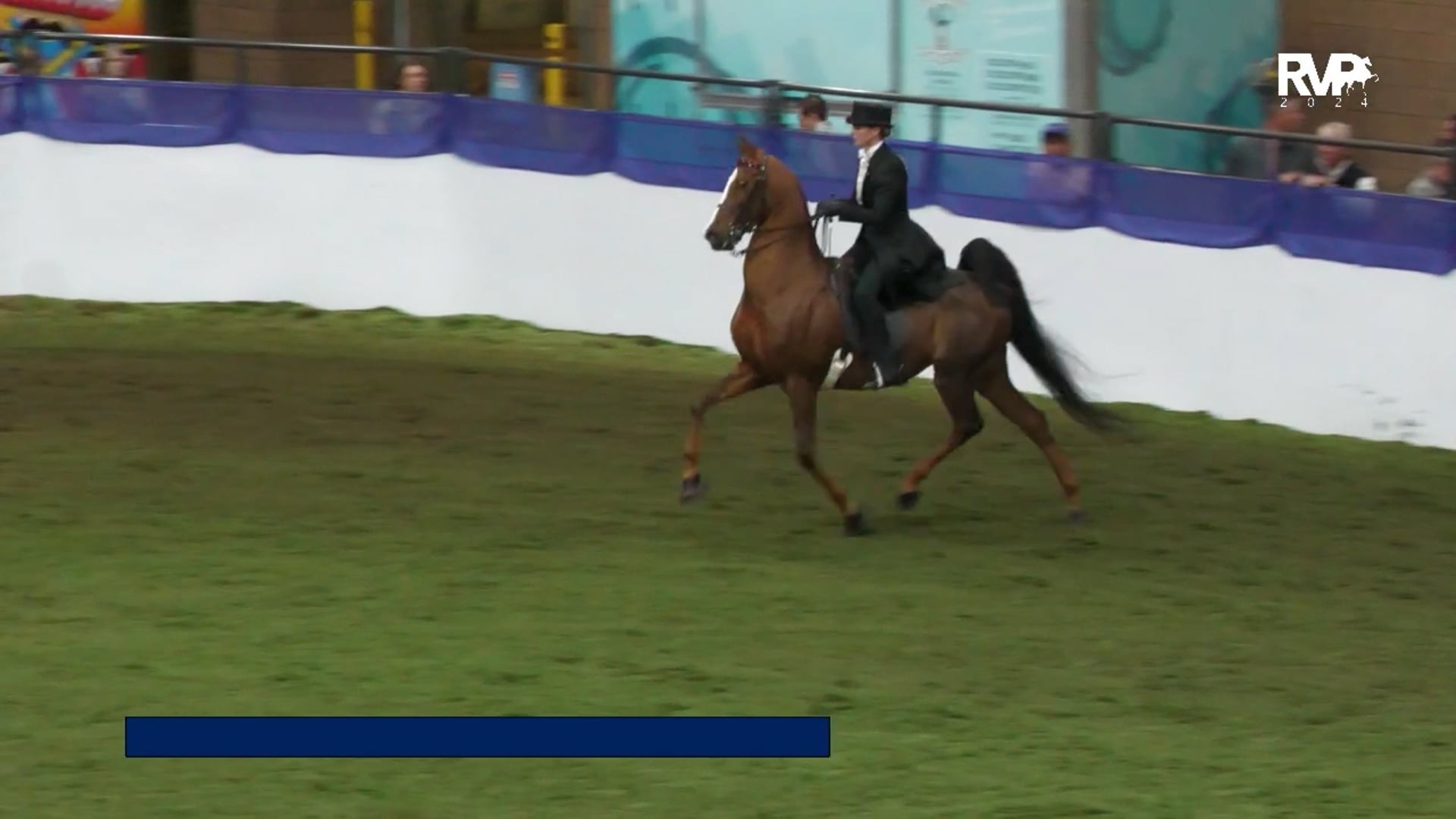 AR24 - Class 21- Missouri-Kansas-Iowa Open Three Gaited