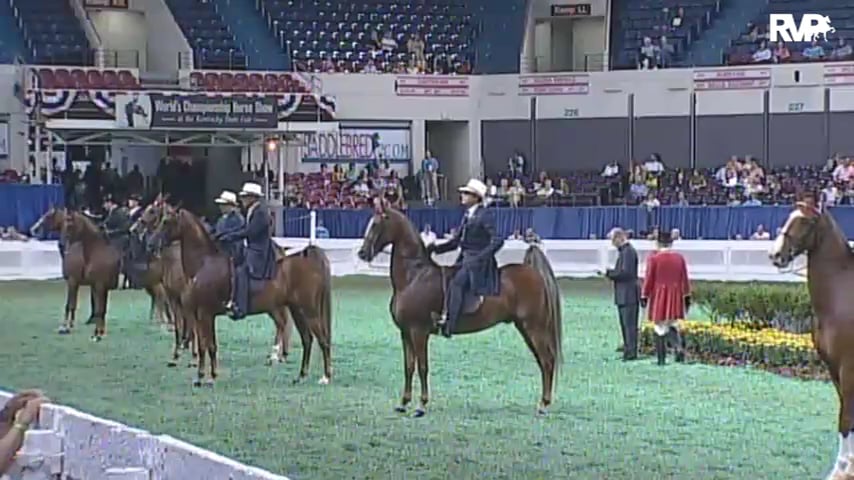 2010 World's Championship Horse Show Class 92 Amateur Gentlemen Three Gaited