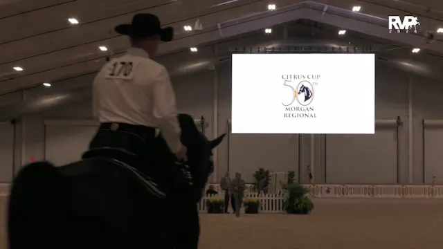 CC26 - Class 56 - Morgan Western Plea...