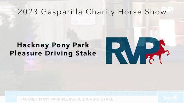 GASP23 - Class 105 - Hackney Pony Par...