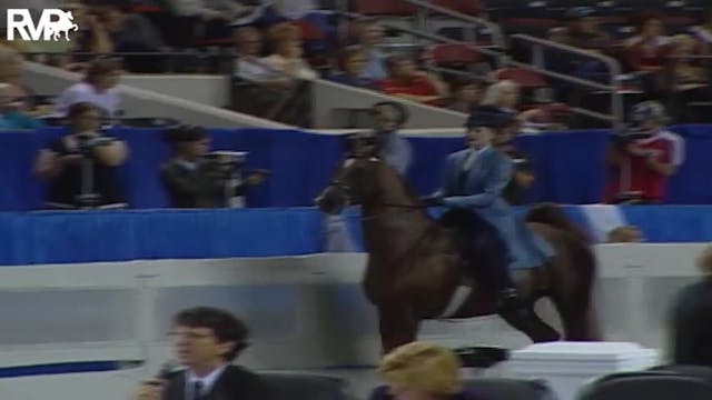 2004 World's Championship Horse Show ...