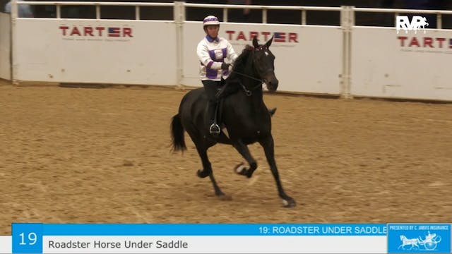 KFC23 - Class 19 - Roadster Horse Und...