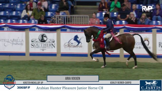 AN25 - Class 306 - Aria Vixxen and Kr...