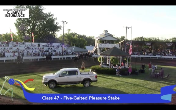 2015 SHS - Class 47 Five Gaited Pleas...