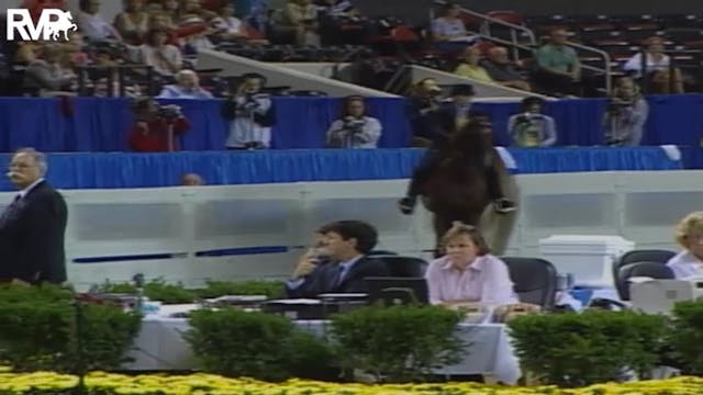 2004 World's Championship Horse Show ...