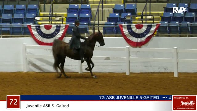 ASHAV 2020 - Class 72 ASB Juvenile Fi...