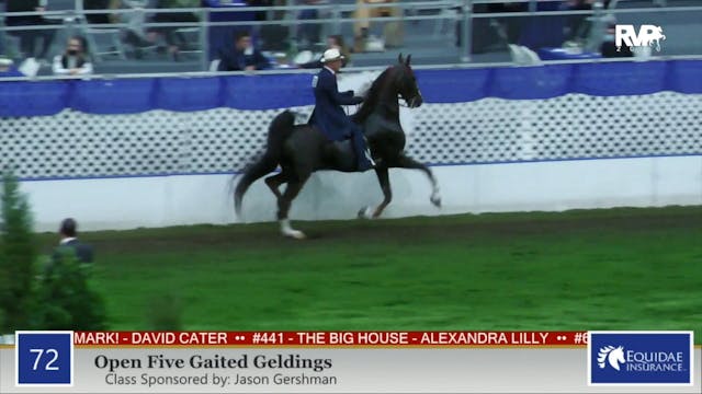 2020 AR - Class 72 ASB Five Gaited Ge...