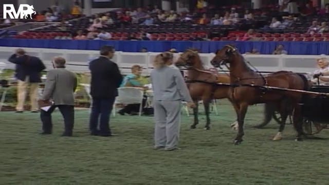 2004 World's Championship Horse Show ...