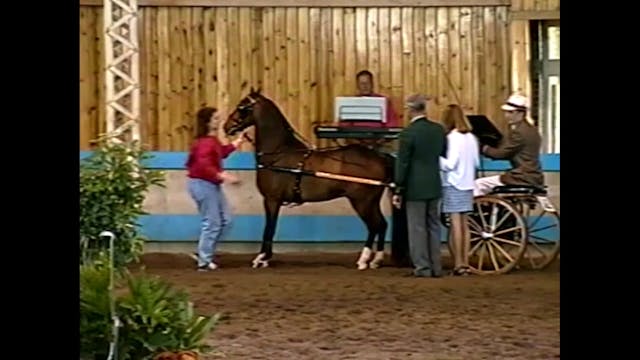 1999 Des Moines Spring Horse Show - U...
