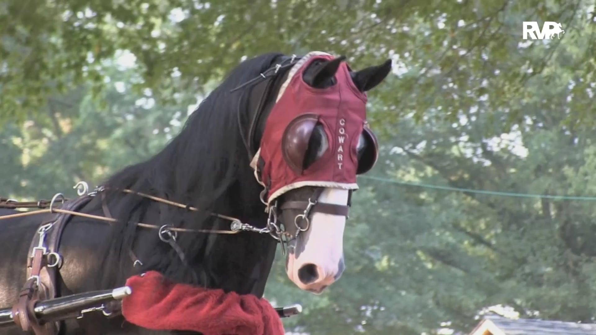 2019 North Carolina State Championship - Wednesday Morning