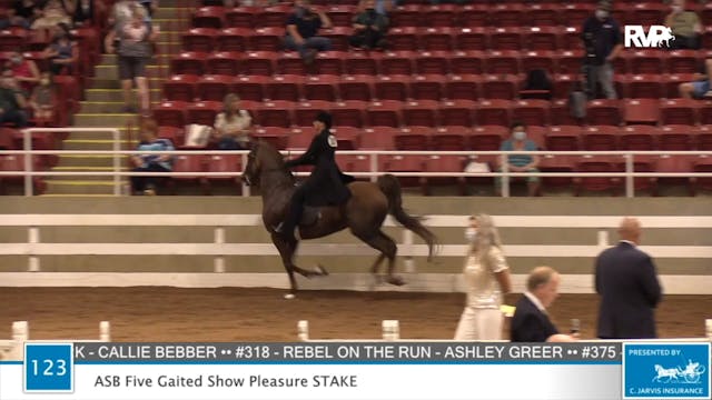 2020 ASF - Class 123 ASB Five Gaited ...