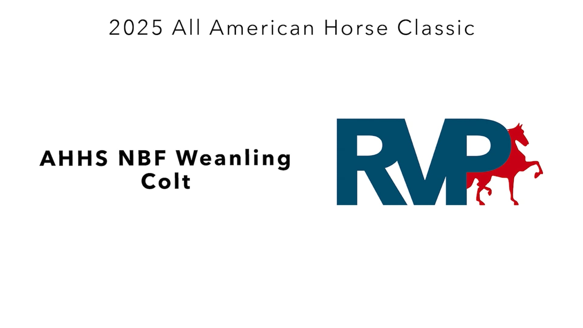 AAC25 - Class 118 - AHHS NBF Weanling Colt