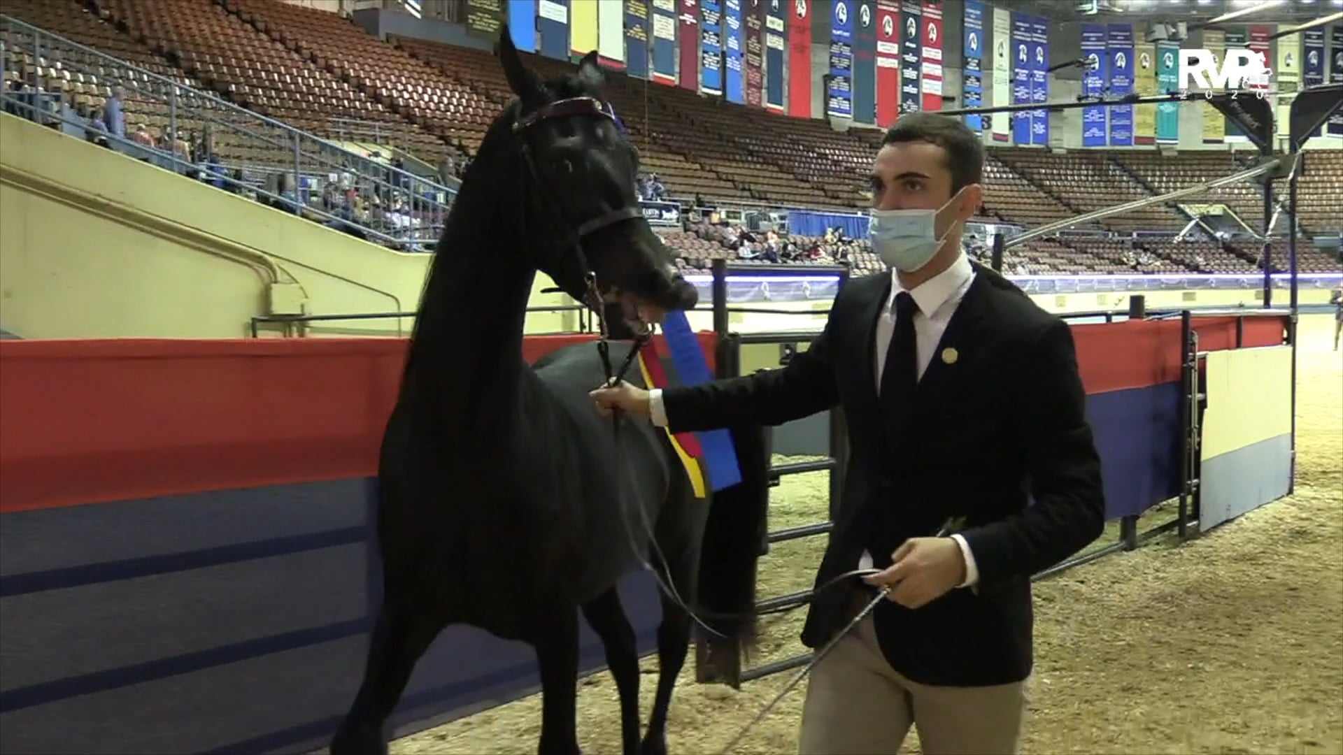 2020 MGN - Class 15 GN Mare Amateur Finals