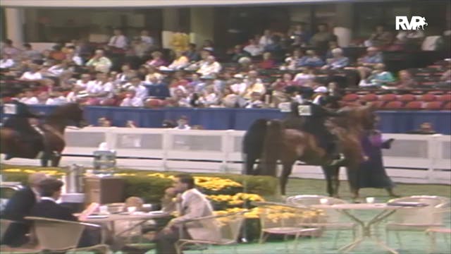 1992 WCHS Class 157 Kentucky State Fa...