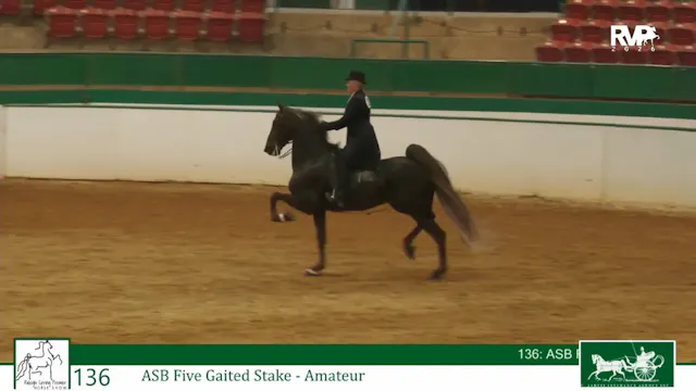 RSP26 - Class 136 - ASB Five Gaited S...