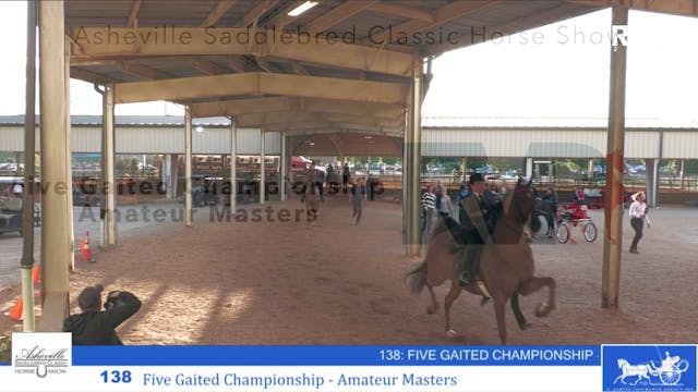 ASC24 - Class 138 - Five Gaited Champ...